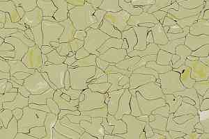 Кварцвиниловые полы Forbo Colorex EC EC 250232 musk фото  | FLOORDEALER